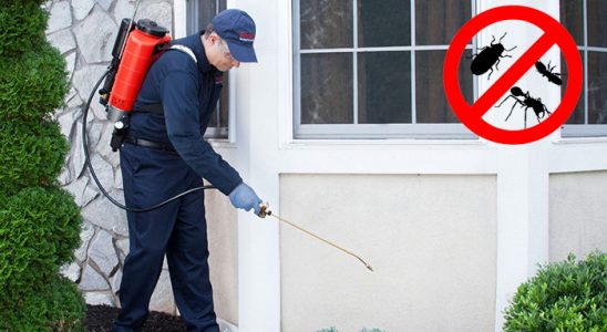Erenler Bit İlaçlama böcek ilaçlama ve haşere kontrolü — ilaclama-tr.com